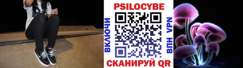 Галлюциногенные грибы Psilocybine cubensis  Кулебаки 